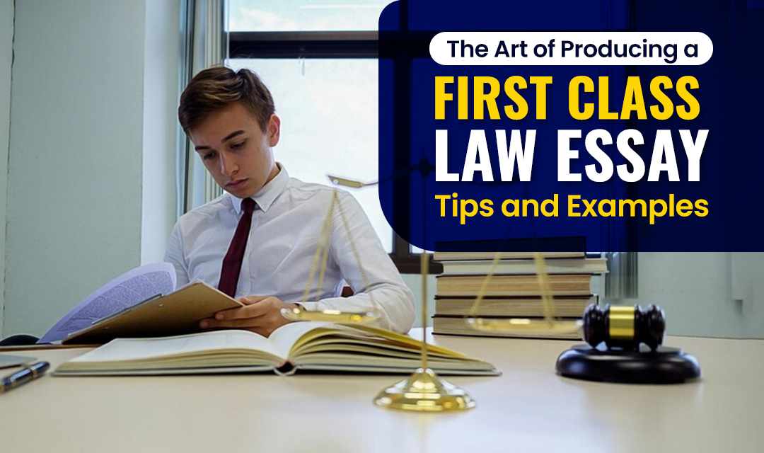 first class essay example law